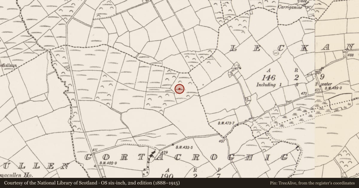 Ordnance Survey six-inch map, 2nd edition (1888–1915) covering the location of Fulacht fia, Gortacroghig, County Cork, with a pin at the register's coordinates