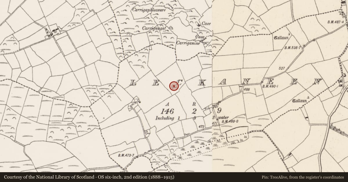 Ordnance Survey six-inch map, 2nd edition (1888–1915) covering the location of Barrow - ring-barrow, Leckaneen, County Cork, with a pin at the register's coordinates