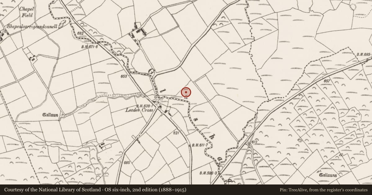 Ordnance Survey six-inch map, 2nd edition (1888–1915) covering the location of Mill - unclassified, Carriganish, County Cork, with a pin at the register's coordinates