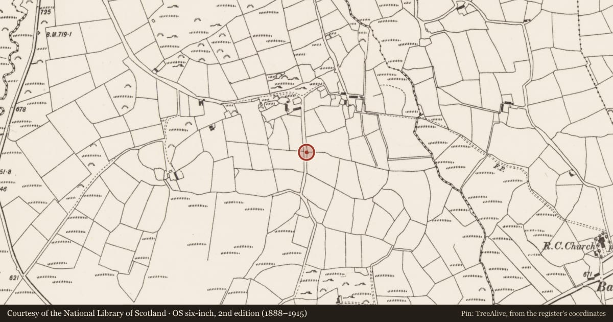 Ordnance Survey six-inch map, 2nd edition (1888–1915) covering the location of Kiln - lime, Knocknagappul, County Cork, with a pin at the register's coordinates