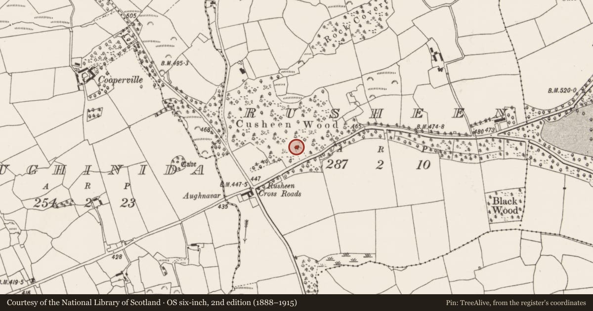 Ordnance Survey six-inch map, 2nd edition (1888–1915) covering the location of Church, Rusheen, County Cork, with a pin at the register's coordinates