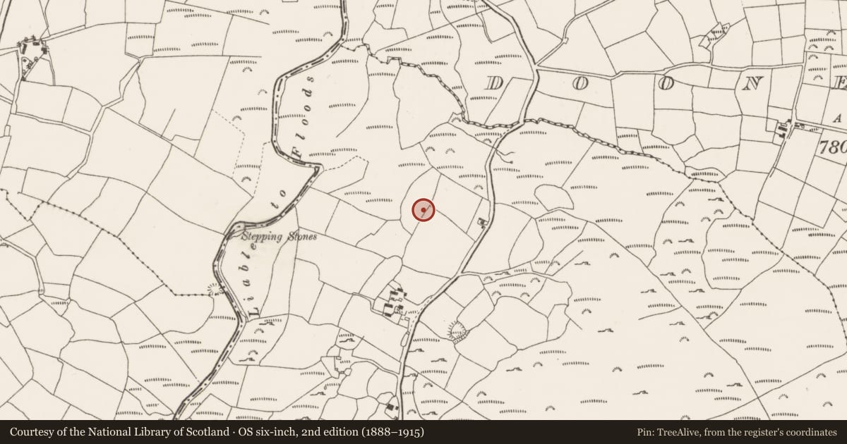 Ordnance Survey six-inch map, 2nd edition (1888–1915) covering the location of Souterrain, Lyroe, County Cork, with a pin at the register's coordinates