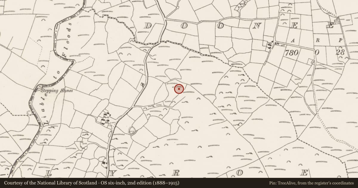 Ordnance Survey six-inch map, 2nd edition (1888–1915) covering the location of Fulacht fia, Lyroe, County Cork, with a pin at the register's coordinates