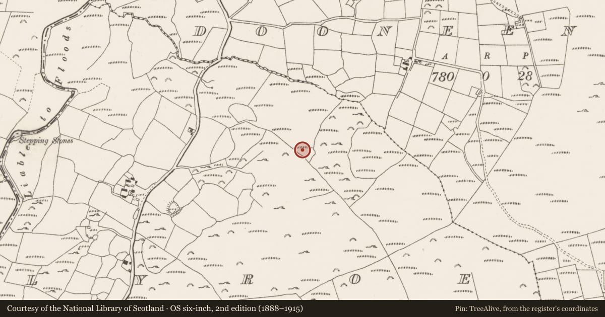 Ordnance Survey six-inch map, 2nd edition (1888–1915) covering the location of Fulacht fia, Lyroe, County Cork, with a pin at the register's coordinates