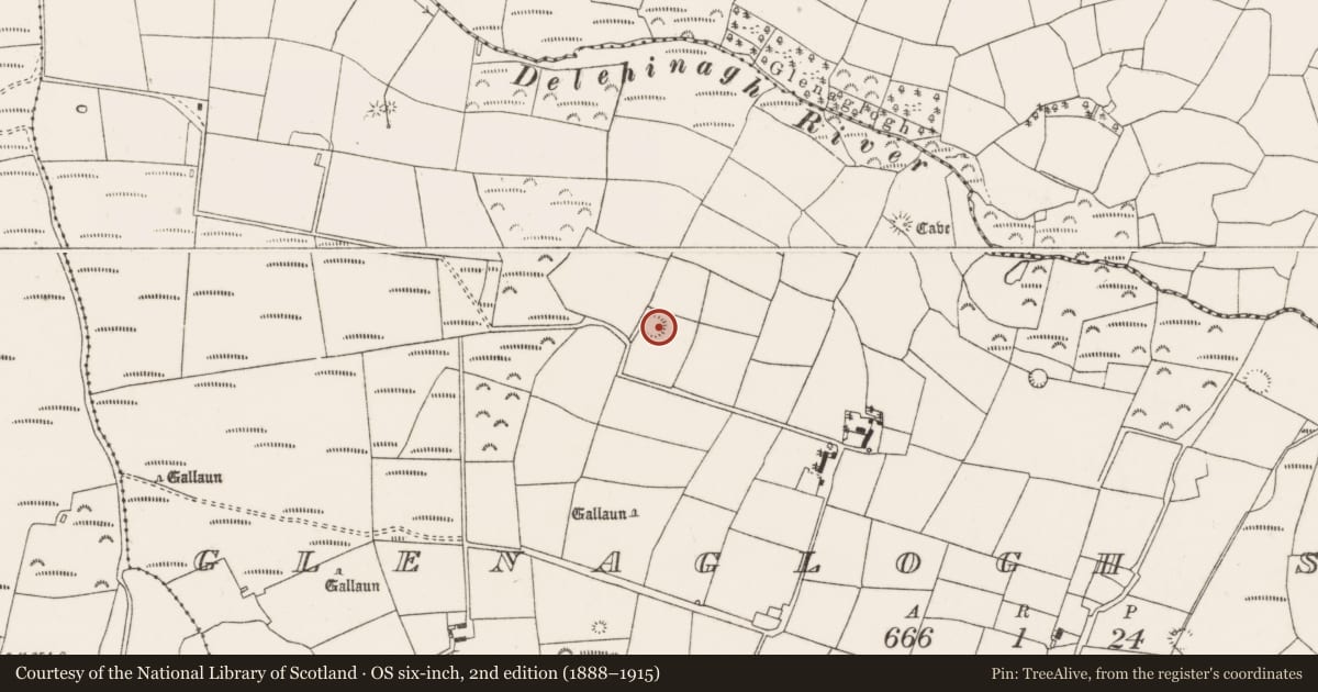 Ordnance Survey six-inch map, 2nd edition (1888–1915) covering the location of Souterrain, Glenaglogh South, County Cork, with a pin at the register's coordinates