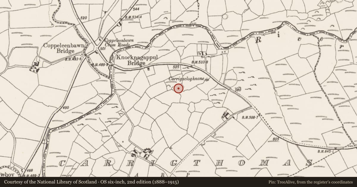 Ordnance Survey six-inch map, 2nd edition (1888–1915) covering the location of Souterrain, Carrigthomas, County Cork, with a pin at the register's coordinates
