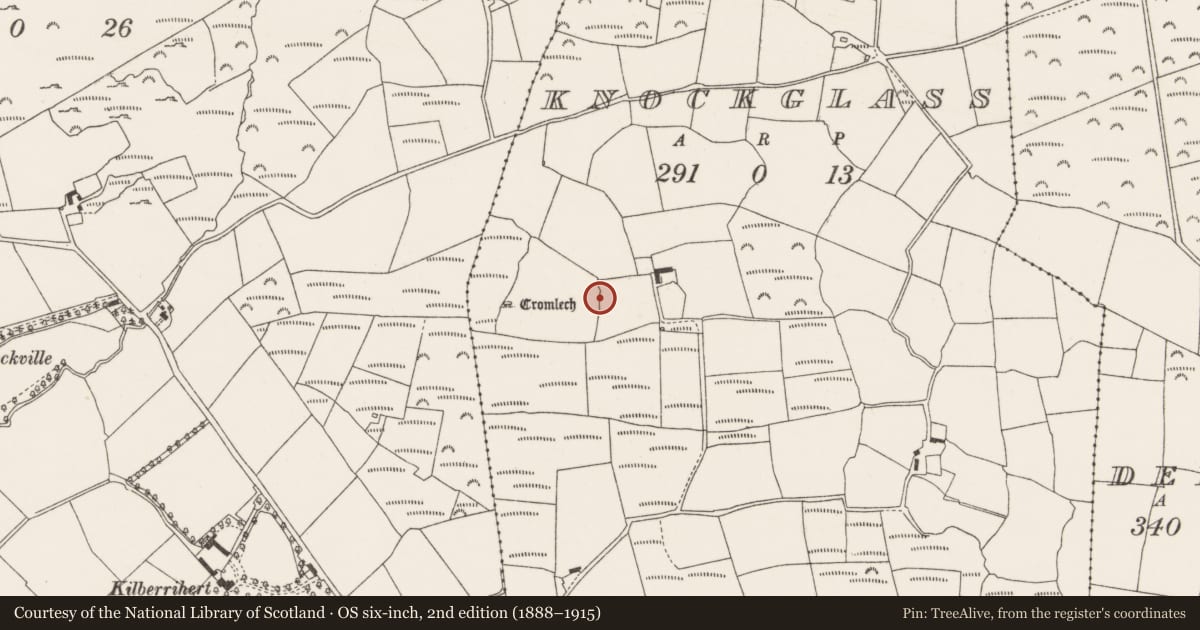 Ordnance Survey six-inch map, 2nd edition (1888–1915) covering the location of Souterrain, Knockglass, County Cork, with a pin at the register's coordinates