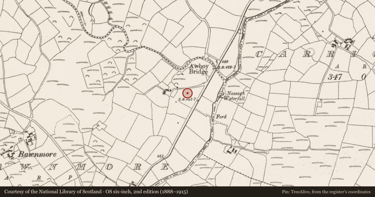 Ordnance Survey six-inch map, 2nd edition (1888–1915) covering the location of Standing stone, Bawnmore, County Cork, with a pin at the register's coordinates