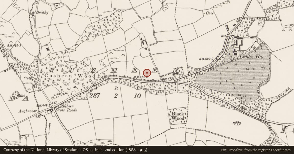 Ordnance Survey six-inch map, 2nd edition (1888–1915) covering the location of Standing stone, Rusheen, County Cork, with a pin at the register's coordinates