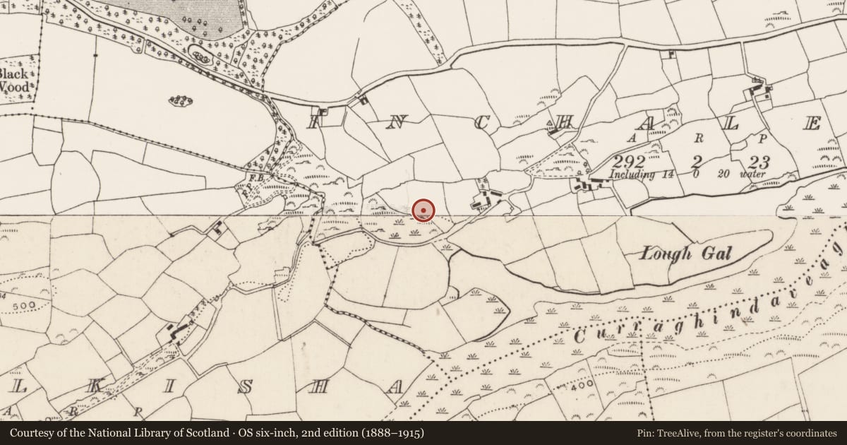 Ordnance Survey six-inch map, 2nd edition (1888–1915) covering the location of Bullaun stone, Inchaleagh, County Cork, with a pin at the register's coordinates