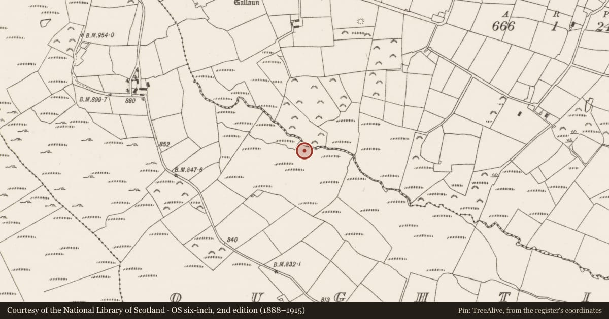 Ordnance Survey six-inch map, 2nd edition (1888–1915) covering the location of Fulacht fia, Oughtihery, County Cork, with a pin at the register's coordinates