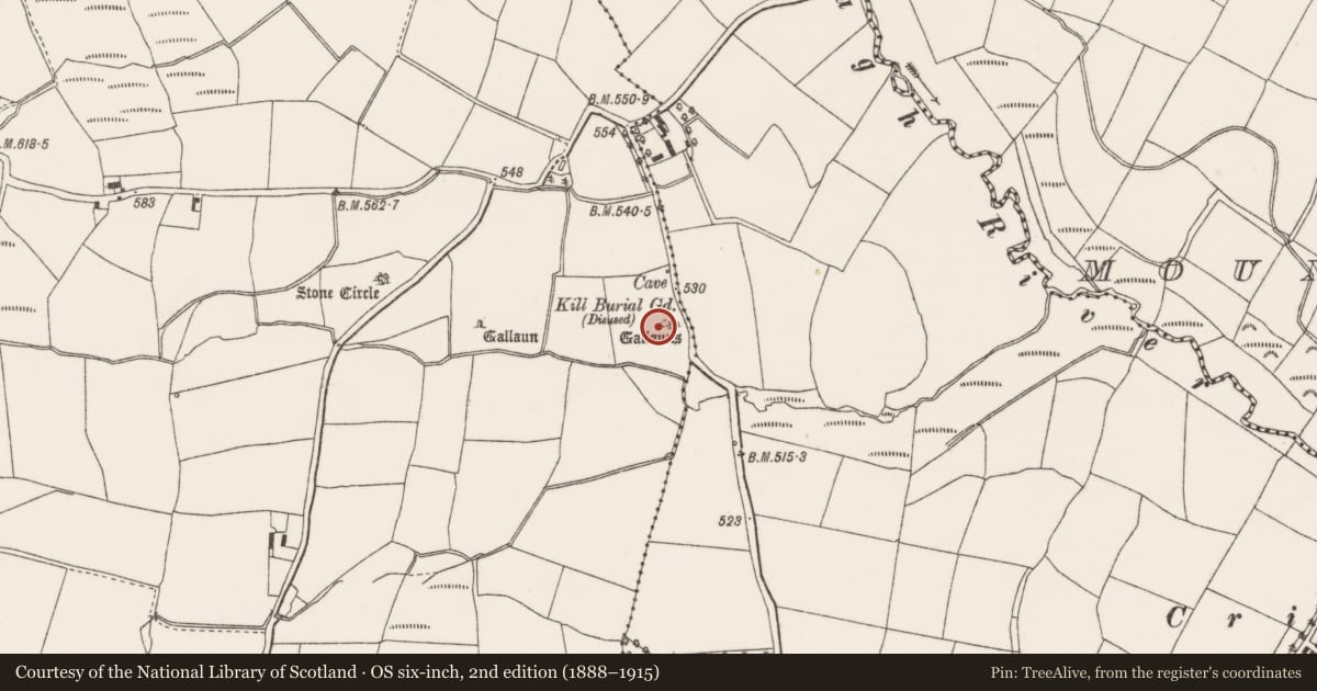 Ordnance Survey six-inch map, 2nd edition (1888–1915) covering the location of Ogham stone, Oughtihery, County Cork, with a pin at the register's coordinates