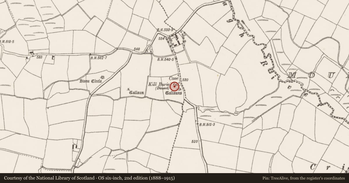 Ordnance Survey six-inch map, 2nd edition (1888–1915) covering the location of Ogham stone, Knockrour, County Cork, with a pin at the register's coordinates