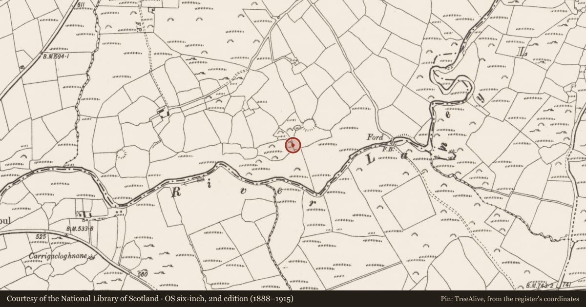 Ordnance Survey six-inch map, 2nd edition (1888–1915) covering the location of Fulacht fia, Ballynagree West, County Cork, with a pin at the register's coordinates