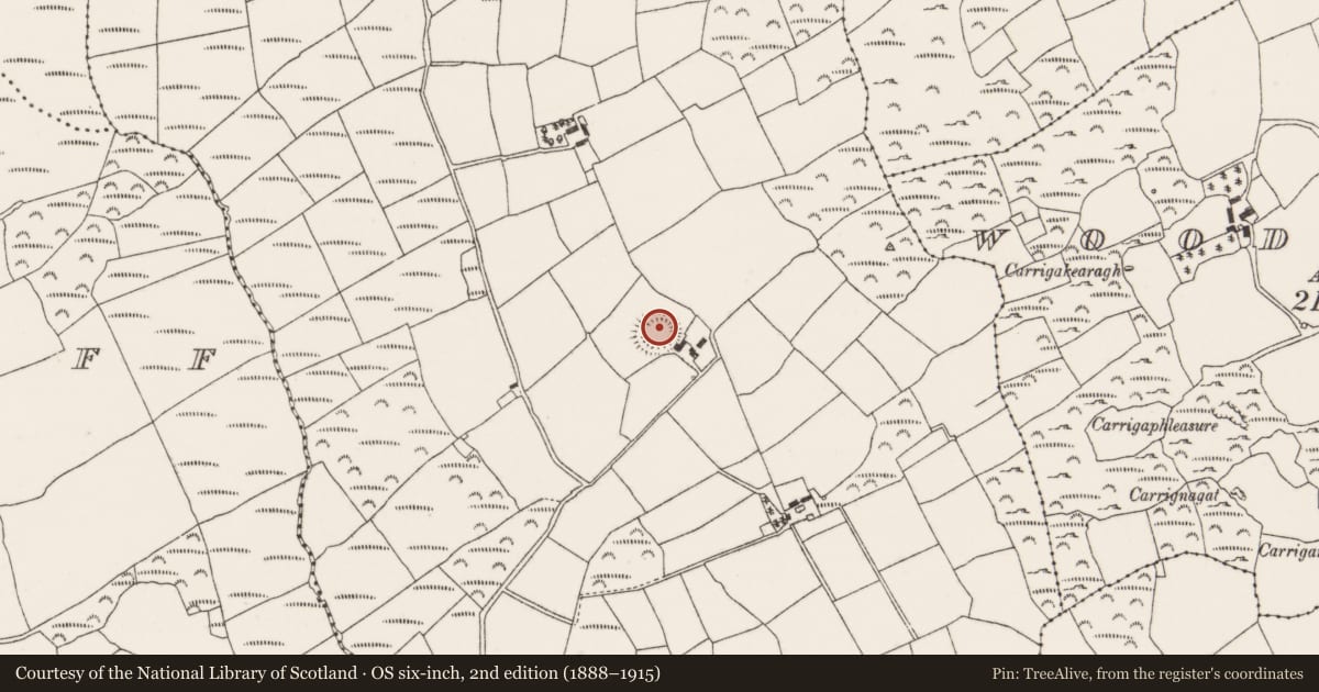 Ordnance Survey six-inch map, 2nd edition (1888–1915) covering the location of Souterrain, Knockrour, County Cork, with a pin at the register's coordinates