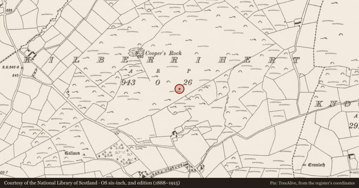 Ordnance Survey six-inch map, 2nd edition (1888–1915) covering the location of Mass-rock, Kilberrihert, County Cork, with a pin at the register's coordinates
