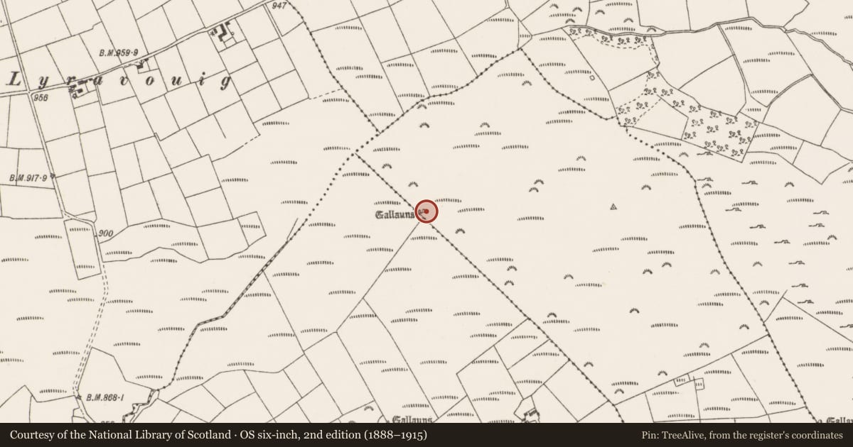 Ordnance Survey six-inch map, 2nd edition (1888–1915) covering the location of Boulder-burial, Carriganish, County Cork, with a pin at the register's coordinates