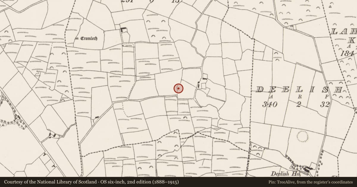 Ordnance Survey six-inch map, 2nd edition (1888–1915) covering the location of Fulacht fia, Knockglass, County Cork, with a pin at the register's coordinates
