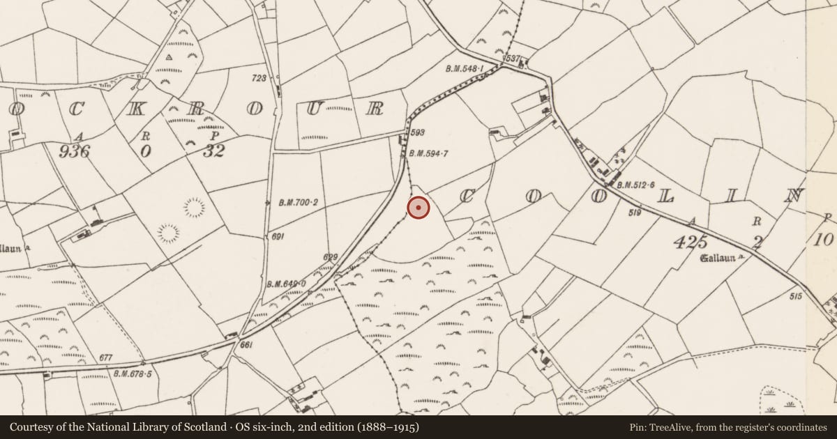 Ordnance Survey six-inch map, 2nd edition (1888–1915) covering the location of Kerb circle, Coolineagh, County Cork, with a pin at the register's coordinates