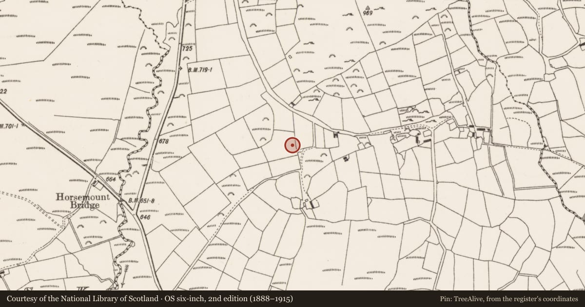 Ordnance Survey six-inch map, 2nd edition (1888–1915) covering the location of Megalithic structure, Knocknagappul, County Cork, with a pin at the register's coordinates