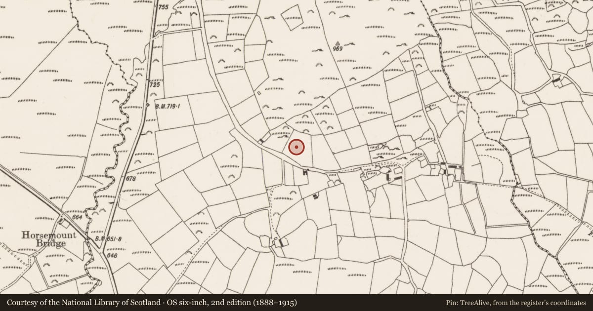 Ordnance Survey six-inch map, 2nd edition (1888–1915) covering the location of Anomalous stone group, Knocknagappul, County Cork, with a pin at the register's coordinates