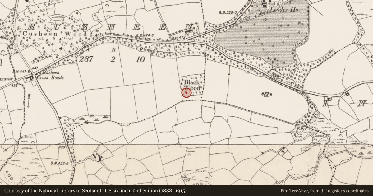 Ordnance Survey six-inch map, 2nd edition (1888–1915) covering the location of Cairn - radial-stone cairn, Rusheen, County Cork, with a pin at the register's coordinates