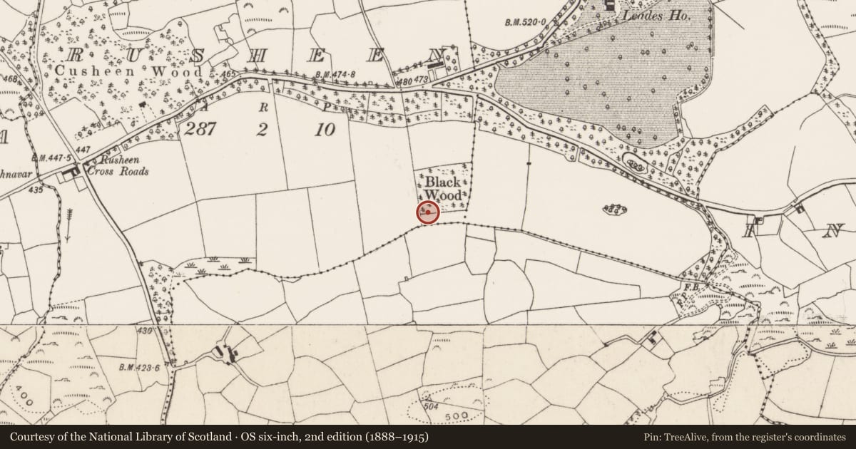 Ordnance Survey six-inch map, 2nd edition (1888–1915) covering the location of Cairn - radial-stone cairn, Rusheen, County Cork, with a pin at the register's coordinates