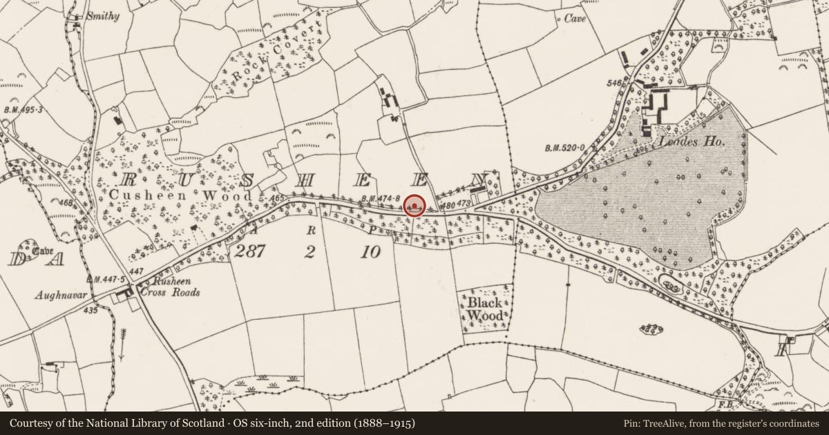 Ordnance Survey six-inch map, 2nd edition (1888–1915) covering the location of Kiln - lime, Rusheen, County Cork, with a pin at the register's coordinates