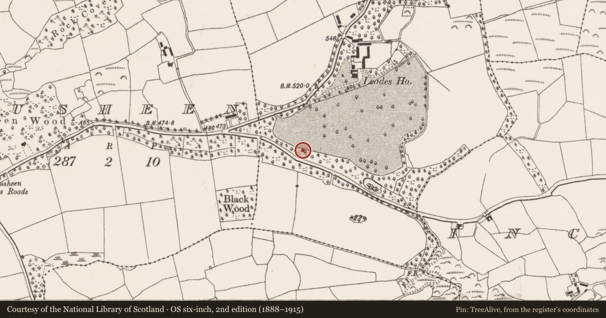 Ordnance Survey six-inch map, 2nd edition (1888–1915) covering the location of Kiln - lime, Rusheen, County Cork, with a pin at the register's coordinates