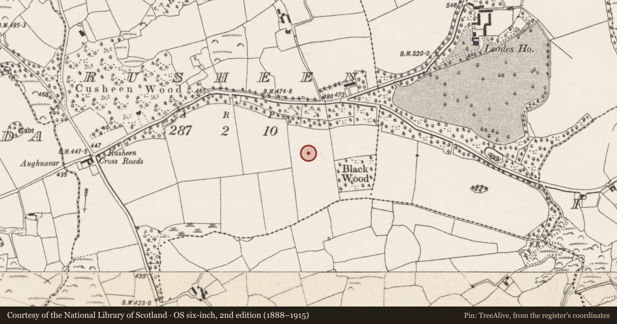 Ordnance Survey six-inch map, 2nd edition (1888–1915) covering the location of Standing stone, Rusheen, County Cork, with a pin at the register's coordinates