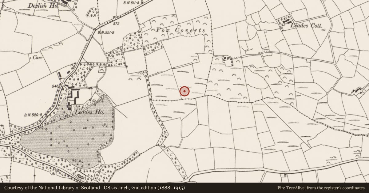 Ordnance Survey six-inch map, 2nd edition (1888–1915) covering the location of Rabbit warren, Laharankeal, County Cork, with a pin at the register's coordinates