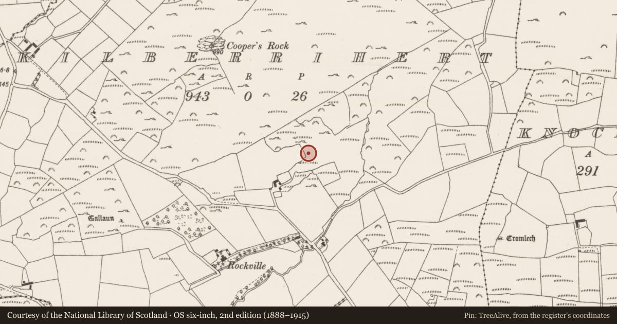 Ordnance Survey six-inch map, 2nd edition (1888–1915) covering the location of Standing stone - pair, Kilberrihert, County Cork, with a pin at the register's coordinates