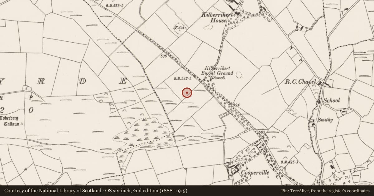 Ordnance Survey six-inch map, 2nd edition (1888–1915) covering the location of Fulacht fia, Aughinida, County Cork, with a pin at the register's coordinates