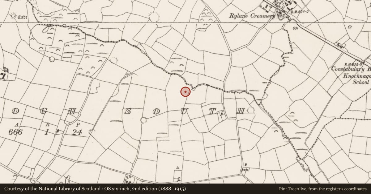 Ordnance Survey six-inch map, 2nd edition (1888–1915) covering the location of Cupmarked stone, Glenaglogh South, County Cork, with a pin at the register's coordinates