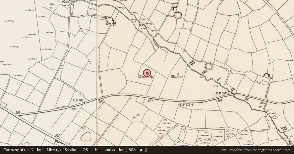 Ordnance Survey six-inch map, 2nd edition (1888–1915) covering the location of Stone circle - five-stone, Rylane, County Cork, with a pin at the register's coordinates