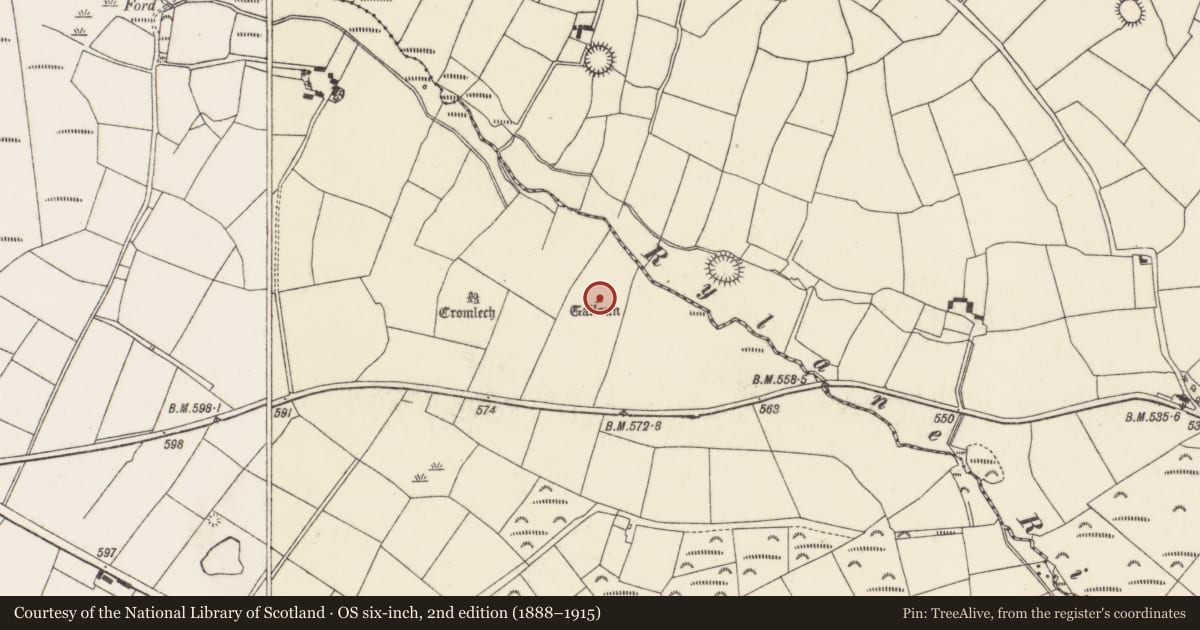 Ordnance Survey six-inch map, 2nd edition (1888–1915) covering the location of Standing stone, Rylane, County Cork, with a pin at the register's coordinates