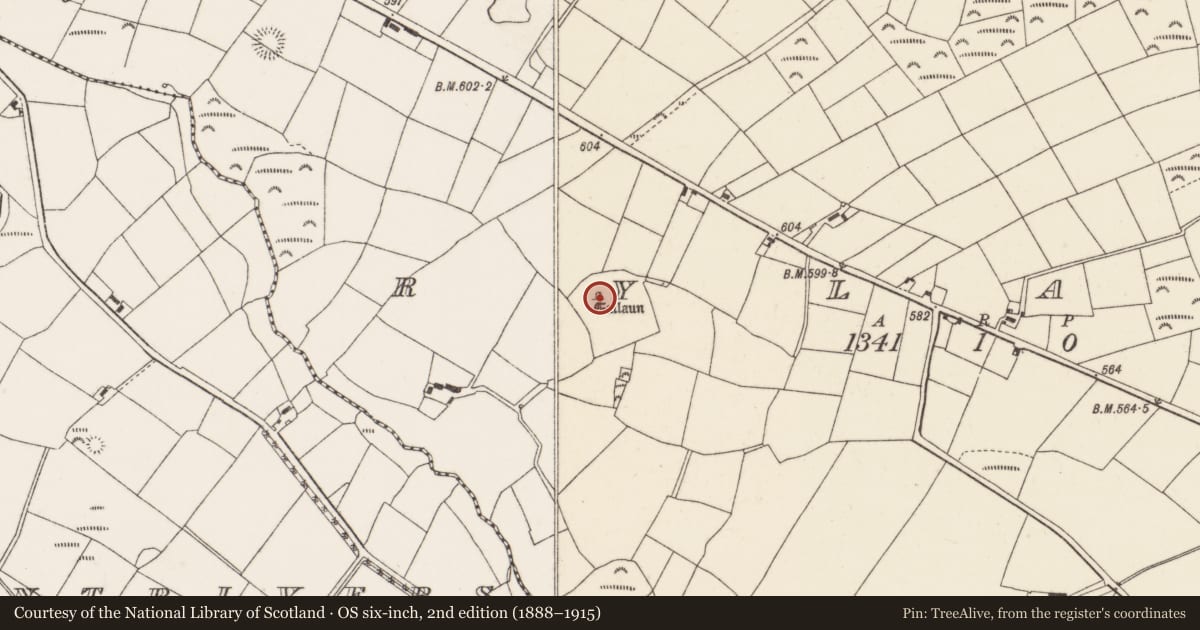 Ordnance Survey six-inch map, 2nd edition (1888–1915) covering the location of Standing stone, Rylane, County Cork, with a pin at the register's coordinates