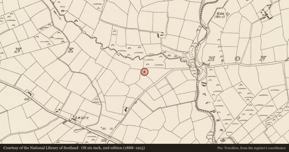 Ordnance Survey six-inch map, 2nd edition (1888–1915) covering the location of Barrow - ring-barrow, Rylane, County Cork, with a pin at the register's coordinates