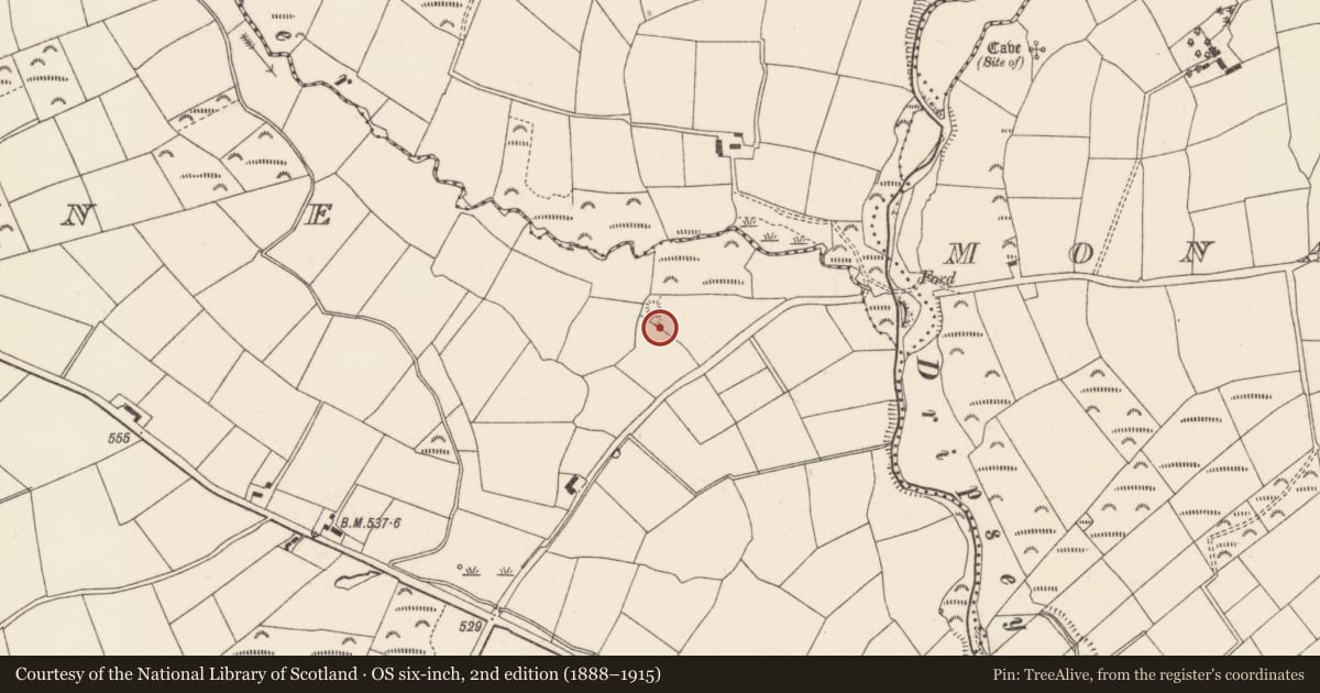 Ordnance Survey six-inch map, 2nd edition (1888–1915) covering the location of Barrow - ring-barrow, Rylane, County Cork, with a pin at the register's coordinates