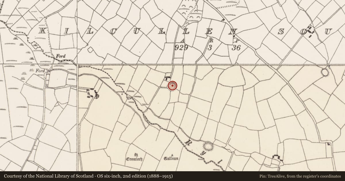 Ordnance Survey six-inch map, 2nd edition (1888–1915) covering the location of Ringfort - rath, Kilcullen South, County Cork, with a pin at the register's coordinates