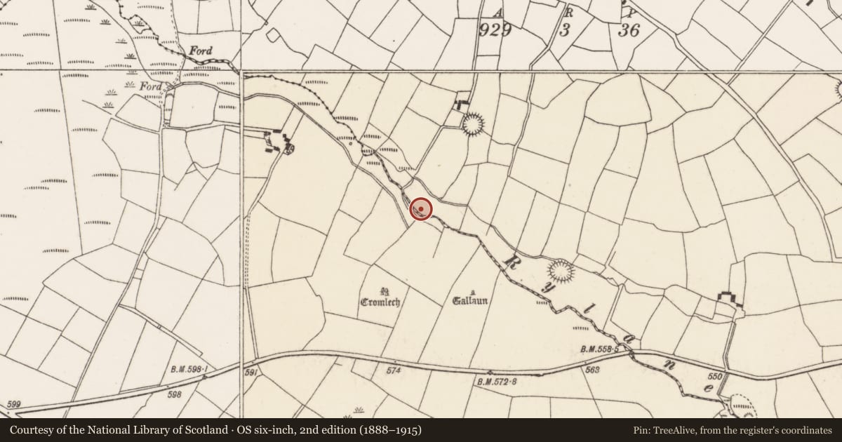 Ordnance Survey six-inch map, 2nd edition (1888–1915) covering the location of Fulacht fia, Kilcullen South, County Cork, with a pin at the register's coordinates