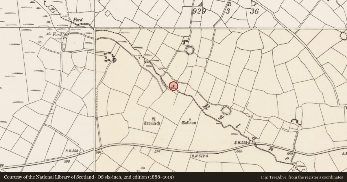 Ordnance Survey six-inch map, 2nd edition (1888–1915) covering the location of Fulacht fia, Kilcullen South, County Cork, with a pin at the register's coordinates