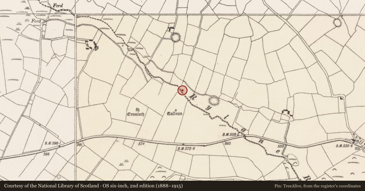 Ordnance Survey six-inch map, 2nd edition (1888–1915) covering the location of Fulacht fia, Kilcullen South, County Cork, with a pin at the register's coordinates