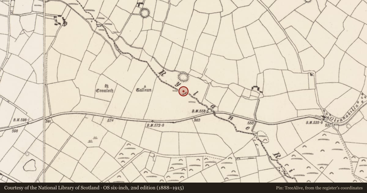 Ordnance Survey six-inch map, 2nd edition (1888–1915) covering the location of Fulacht fia, Kilcullen South, County Cork, with a pin at the register's coordinates