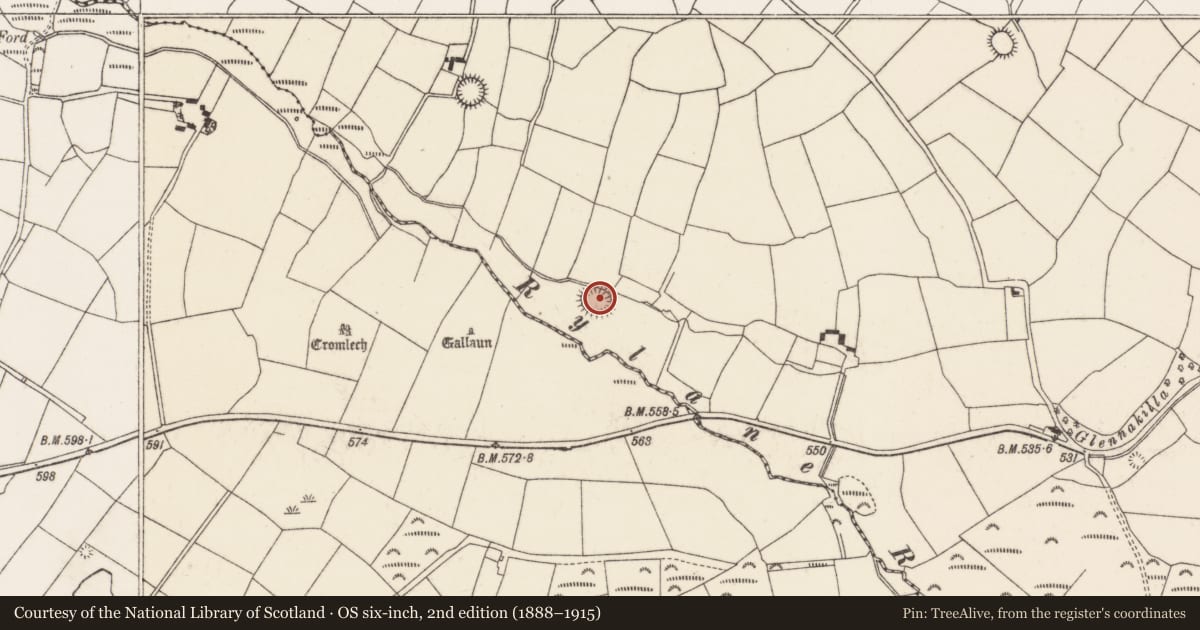 Ordnance Survey six-inch map, 2nd edition (1888–1915) covering the location of Souterrain, Kilcullen South, County Cork, with a pin at the register's coordinates