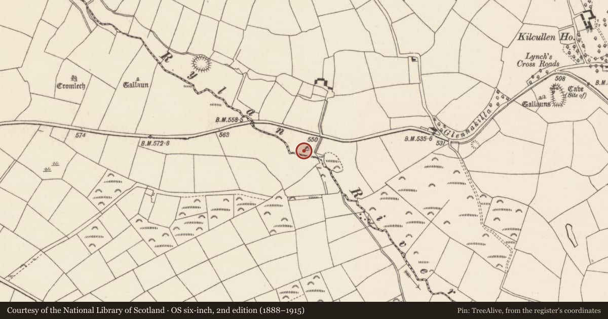 Ordnance Survey six-inch map, 2nd edition (1888–1915) covering the location of Fulacht fia, Kilcullen South, County Cork, with a pin at the register's coordinates