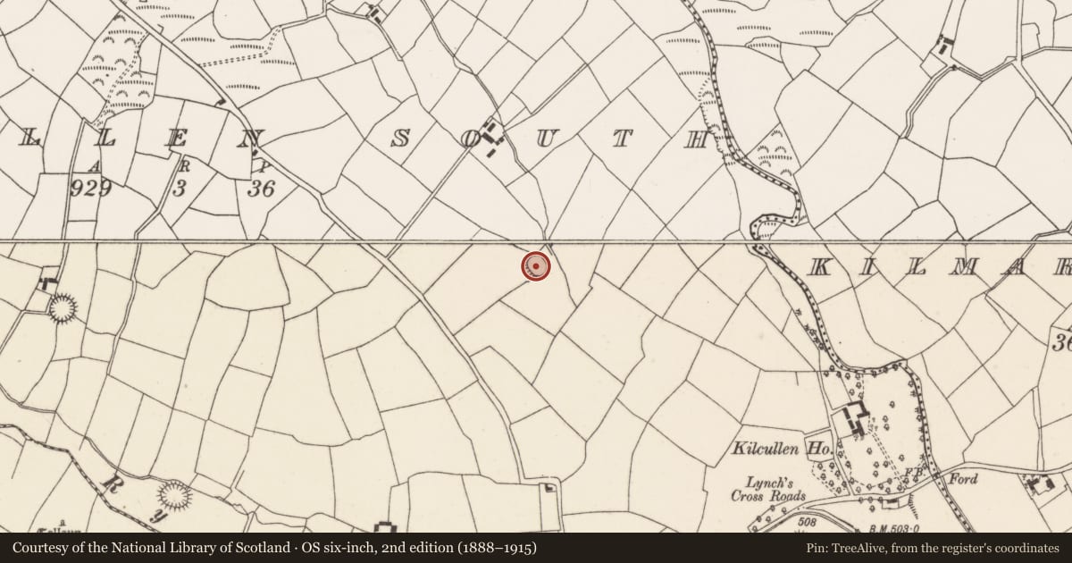 Ordnance Survey six-inch map, 2nd edition (1888–1915) covering the location of Souterrain, Kilcullen South, County Cork, with a pin at the register's coordinates