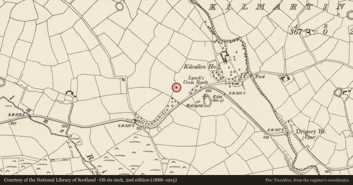 Ordnance Survey six-inch map, 2nd edition (1888–1915) covering the location of Standing stone - pair, Kilcullen South, County Cork, with a pin at the register's coordinates