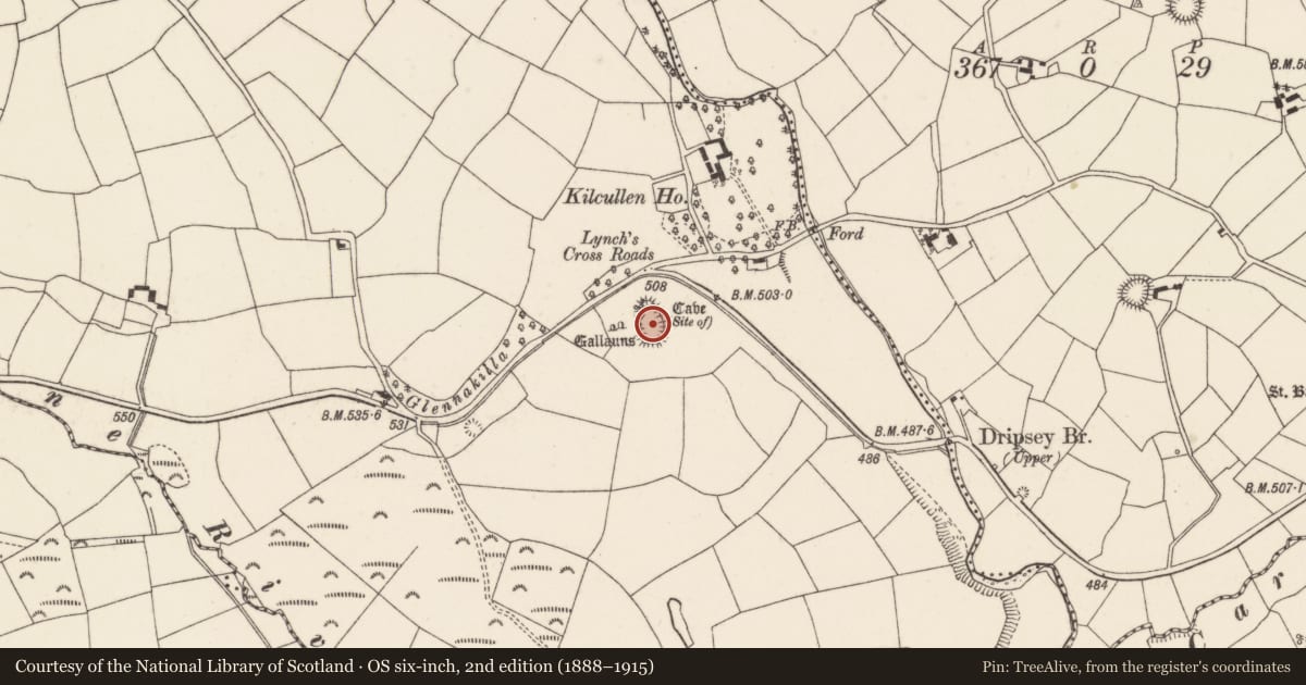 Ordnance Survey six-inch map, 2nd edition (1888–1915) covering the location of Enclosure, Kilcullen South, County Cork, with a pin at the register's coordinates