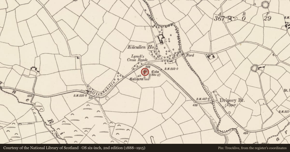 Ordnance Survey six-inch map, 2nd edition (1888–1915) covering the location of Souterrain, Kilcullen South, County Cork, with a pin at the register's coordinates